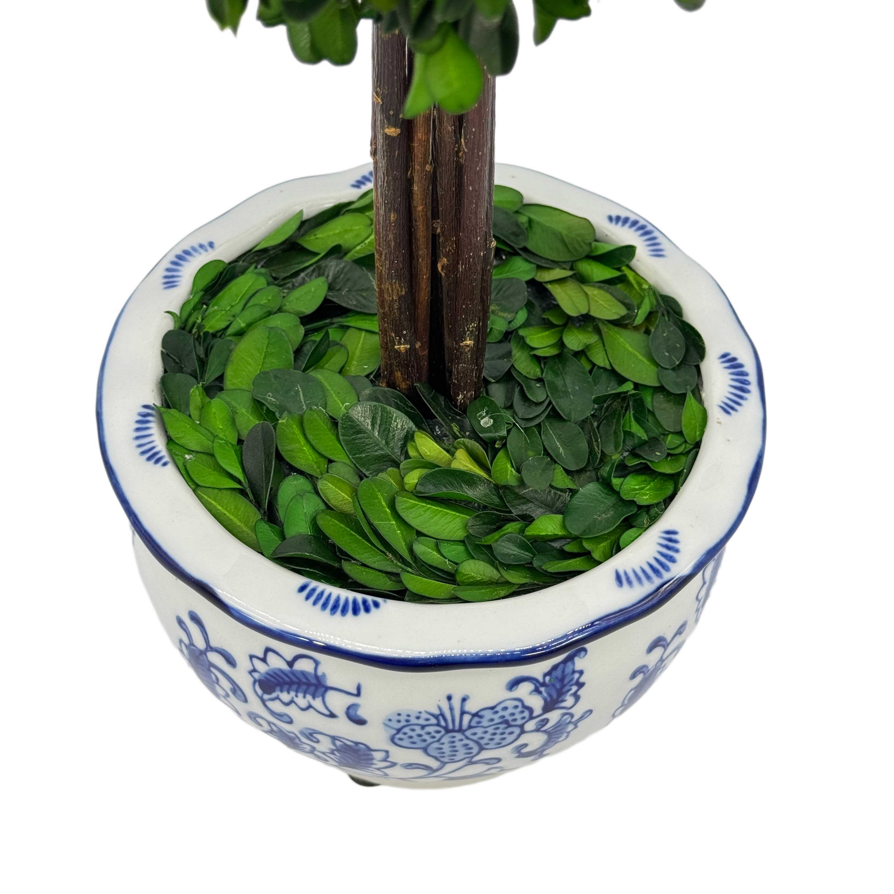 Boxwood Ball Topiary Tree in Round Blue & White Ceramic Pot