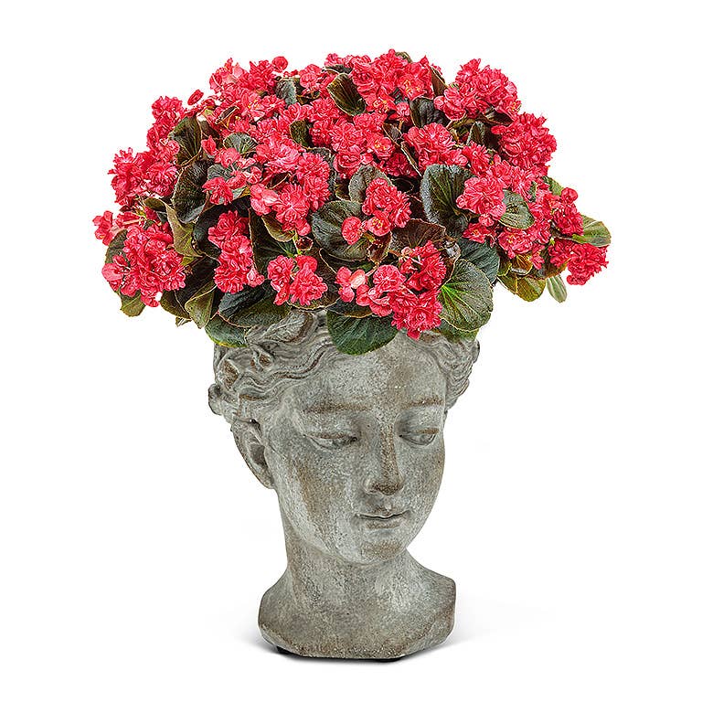 Women Head Planter