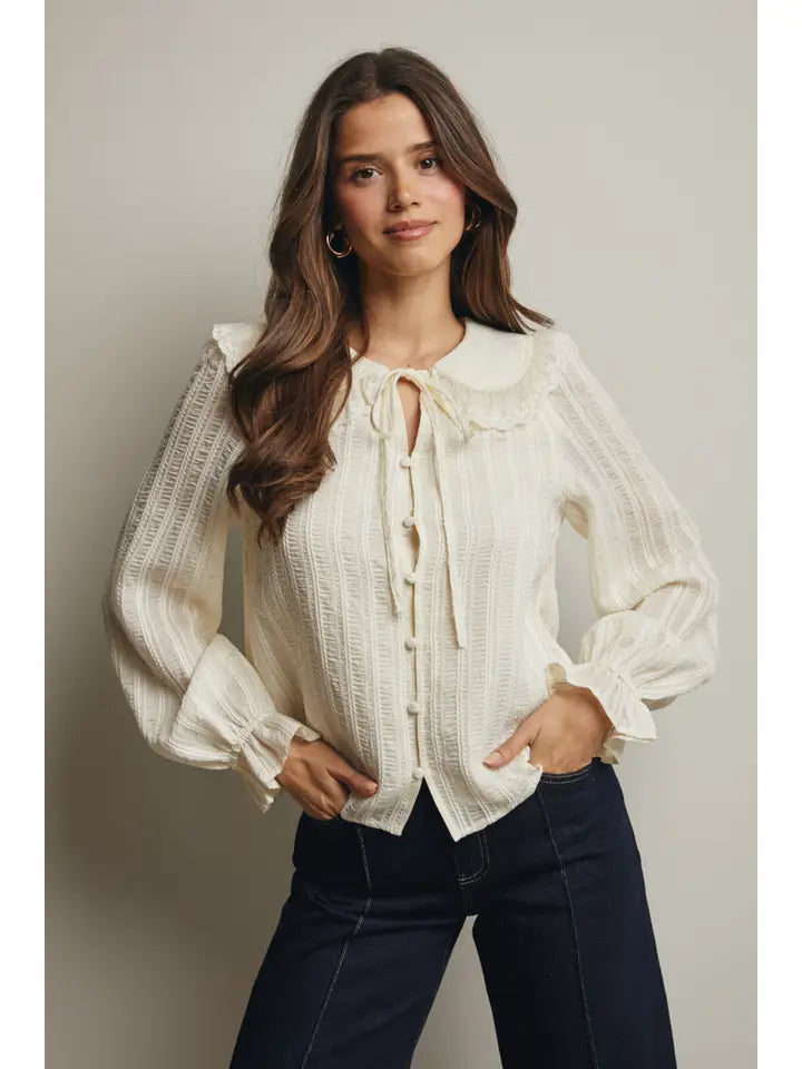 Embroidered Collar Textured Blouse