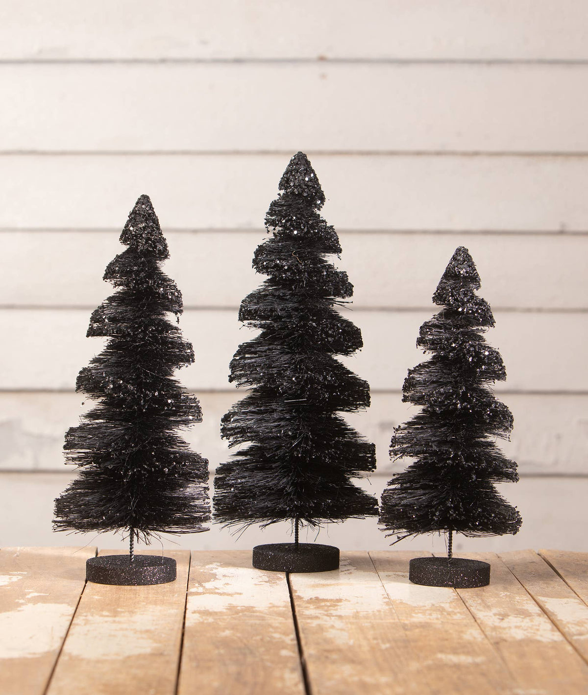 Black Shadows Tree