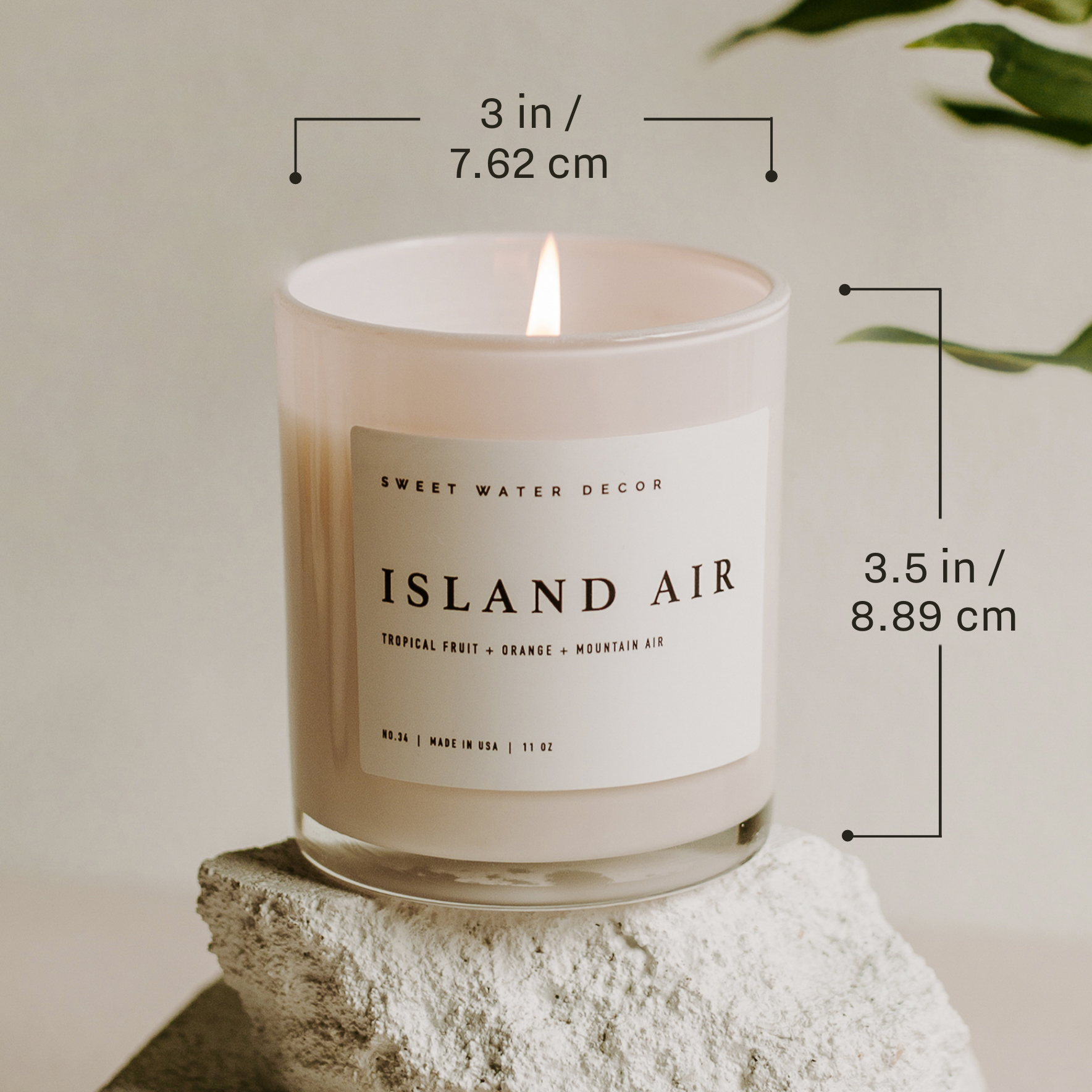 Coastal Lemon 11 oz Soy Candle - Home Decor & Gifts
