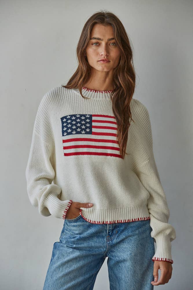 Knit Sweater Crew American Flag Pullover