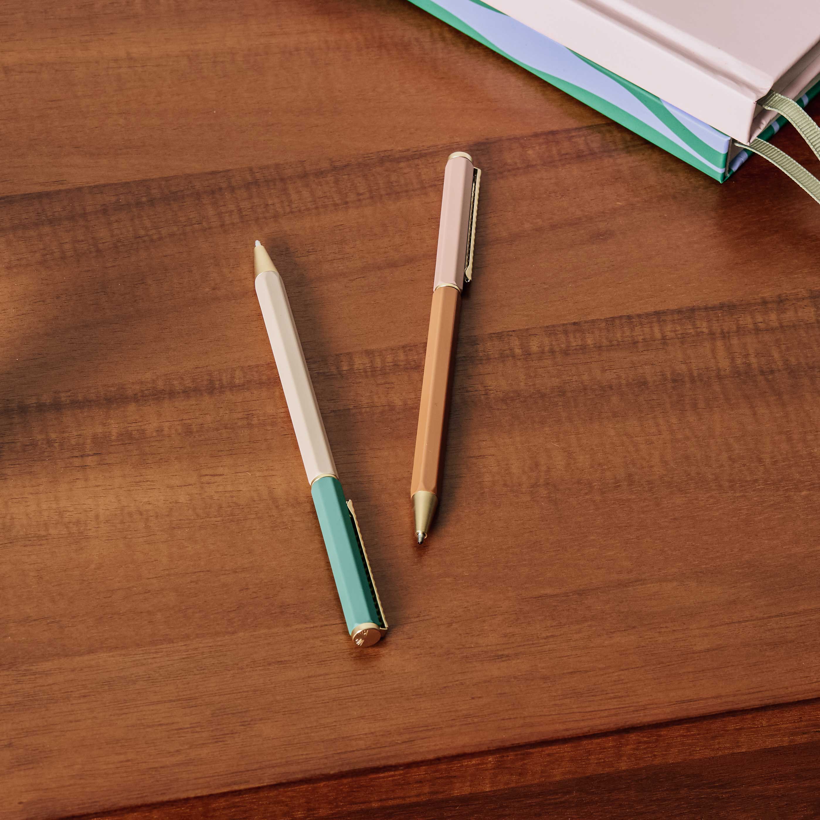 Ballpoint Pen Set of 2 - Slim Muted