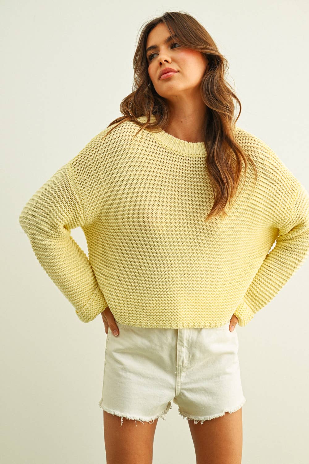 Round Neck Sweater Knitted Top